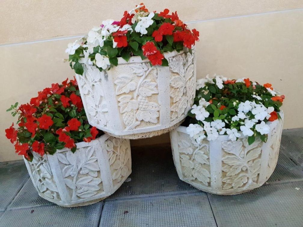 Анси Gmina Gmina Pomorie Zewnętrze zdjęcie